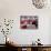 Matador Luis Miguel Dominguin Performing During a Mano a Mano Bullfight at the Bayonne Bullring-James Burke-Stretched Canvas displayed on a wall