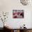 Matador Luis Miguel Dominguin Performing During a Mano a Mano Bullfight at the Bayonne Bullring-James Burke-Premium Photographic Print displayed on a wall