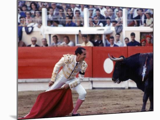 Matador Luis Miguel Dominguin Performing During a Mano a Mano Bullfight at the Bayonne Bullring-James Burke-Mounted Premium Photographic Print