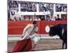 Matador Luis Miguel Dominguin Performing During a Mano a Mano Bullfight at the Bayonne Bullring-James Burke-Mounted Premium Photographic Print