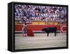Matador Waving a Red Cape in Front of a Bull-null-Framed Stretched Canvas