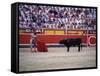 Matador Waving a Red Cape in Front of a Bull-null-Framed Stretched Canvas