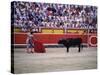 Matador Waving a Red Cape in Front of a Bull-null-Stretched Canvas