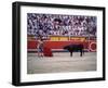 Matador Waving a Red Cape in Front of a Bull-null-Framed Photographic Print