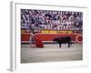 Matador Waving a Red Cape in Front of a Bull-null-Framed Photographic Print