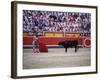 Matador Waving a Red Cape in Front of a Bull-null-Framed Photographic Print