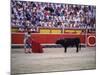 Matador Waving a Red Cape in Front of a Bull-null-Mounted Photographic Print