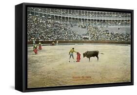 Matador Working with Muleta-null-Framed Stretched Canvas