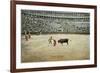 Matador Working with Muleta-null-Framed Art Print