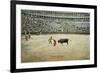 Matador Working with Muleta-null-Framed Art Print