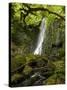 Matai Falls, Catlins, South Otago, South Island, New Zealand-David Wall-Stretched Canvas