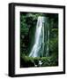 Matai Falls New Zealand-null-Framed Art Print