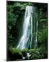 Matai Falls New Zealand-null-Mounted Art Print