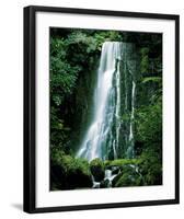 Matai Falls New Zealand-null-Framed Art Print