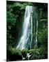 Matai Falls New Zealand-null-Mounted Art Print