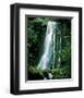 Matai Falls New Zealand-null-Framed Art Print