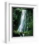 Matai Falls New Zealand-null-Framed Art Print