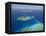 Matamanoa Island and Coral Reef, Mamanuca Islands, Fiji-David Wall-Framed Stretched Canvas