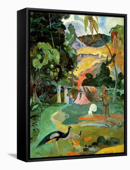 Matamoe Or, Landscape with Peacocks, 1892-Paul Gauguin-Framed Stretched Canvas