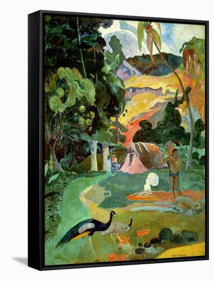 Matamoe Or, Landscape with Peacocks, 1892-Paul Gauguin-Framed Stretched Canvas