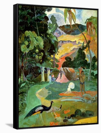 Matamoe Or, Landscape with Peacocks, 1892-Paul Gauguin-Framed Stretched Canvas