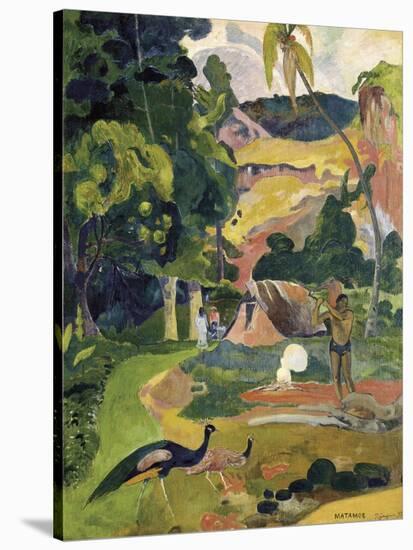 Matamoe or Landscape with Peacocks-Paul Gauguin-Stretched Canvas