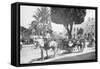 Matanzas Volanta, Large Wheeled Horse Drawn Tourist Coach-null-Framed Stretched Canvas