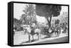 Matanzas Volanta, Large Wheeled Horse Drawn Tourist Coach-null-Framed Stretched Canvas