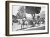 Matanzas Volanta, Large Wheeled Horse Drawn Tourist Coach-null-Framed Photo