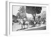 Matanzas Volanta, Large Wheeled Horse Drawn Tourist Coach-null-Framed Photo