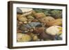 Match the Hatch II-Stephen Stavast-Framed Giclee Print