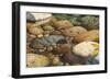 Match the Hatch II-Stephen Stavast-Framed Giclee Print