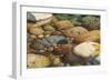 Match the Hatch II-Stephen Stavast-Framed Giclee Print