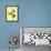 Matchbox Race - Jack & Jill-Iris Beatty Johnson-Framed Giclee Print displayed on a wall
