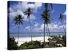 Matemwe Beach, Zanzibar, Tanzania, East Africa, Africa-Yadid Levy-Stretched Canvas