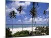 Matemwe Beach, Zanzibar, Tanzania, East Africa, Africa-Yadid Levy-Mounted Photographic Print