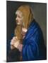 Mater Dolorosa, 1554-Titian (Tiziano Vecelli)-Mounted Giclee Print