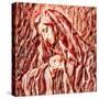 Mater Dolorosa of the Slaughterhouse, 2022, (digital)-Trygve Skogrand-Stretched Canvas