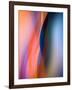 Maternity-Ursula Abresch-Framed Photographic Print