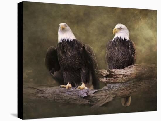 Mates Bald Eagle Pair-Jai Johnson-Stretched Canvas