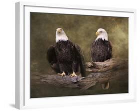 Mates Bald Eagle Pair-Jai Johnson-Framed Giclee Print