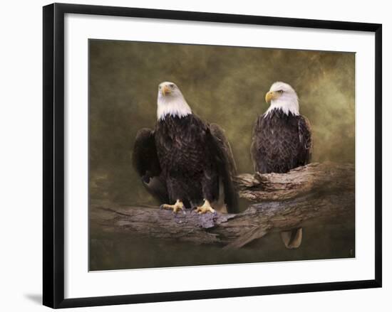 Mates Bald Eagle Pair-Jai Johnson-Framed Giclee Print