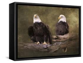 Mates Bald Eagle Pair-Jai Johnson-Framed Stretched Canvas