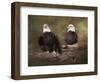 Mates Bald Eagle Pair-Jai Johnson-Framed Premium Giclee Print