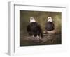 Mates Bald Eagle Pair-Jai Johnson-Framed Premium Giclee Print