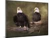 Mates Bald Eagle Pair-Jai Johnson-Mounted Premium Giclee Print