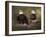 Mates Bald Eagle Pair-Jai Johnson-Framed Giclee Print