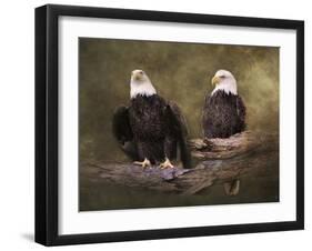 Mates Bald Eagle Pair-Jai Johnson-Framed Giclee Print