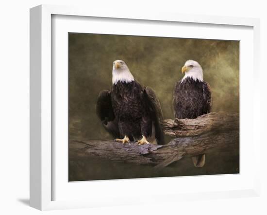 Mates Bald Eagle Pair-Jai Johnson-Framed Giclee Print