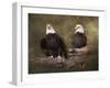 Mates Bald Eagle Pair-Jai Johnson-Framed Giclee Print